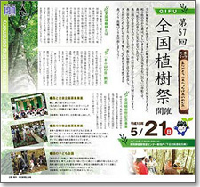 �V���E�G��04